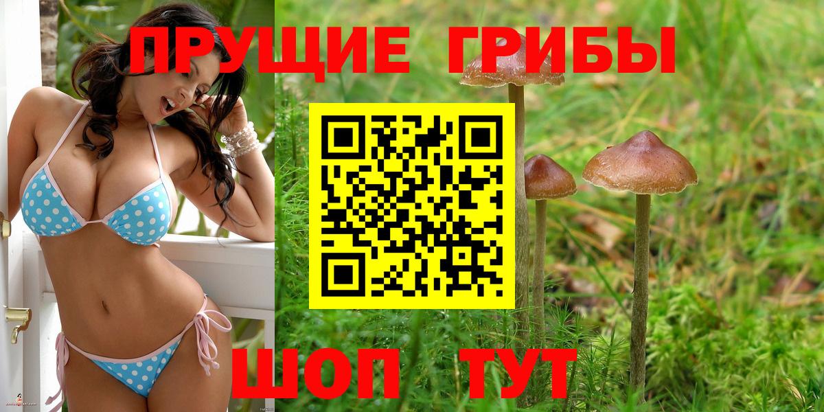 Галлюциногенные грибы мицелий Кольчугино