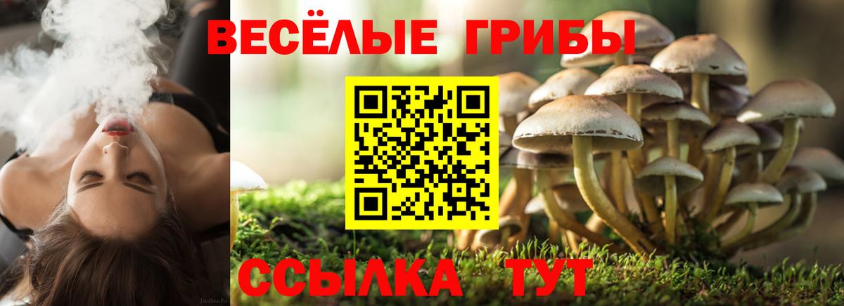 Галлюциногенные грибы мицелий  Псилоцибиновые грибы ЛСД  Вход с VPN  Кольчугино 